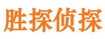 龙城市侦探公司